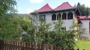 Pensiunea Letitia, Suceviţa